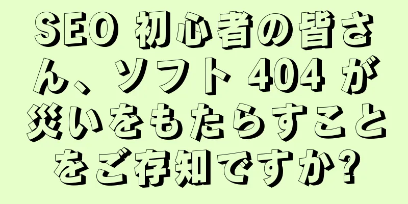 SEO 初心者の皆さん、ソフト 404 が災いをもたらすことをご存知ですか?