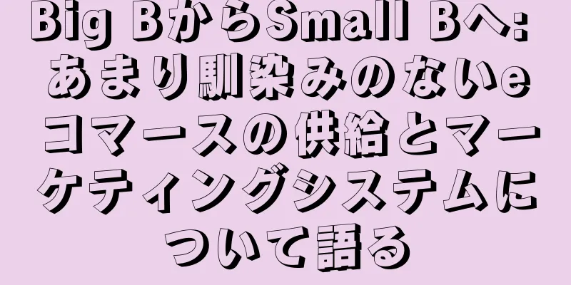 Big BからSmall Bへ: あまり馴染みのないeコマースの供給とマーケティングシステムについて語る
