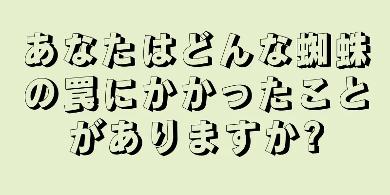 あなたはどんな蜘蛛の罠にかかったことがありますか?