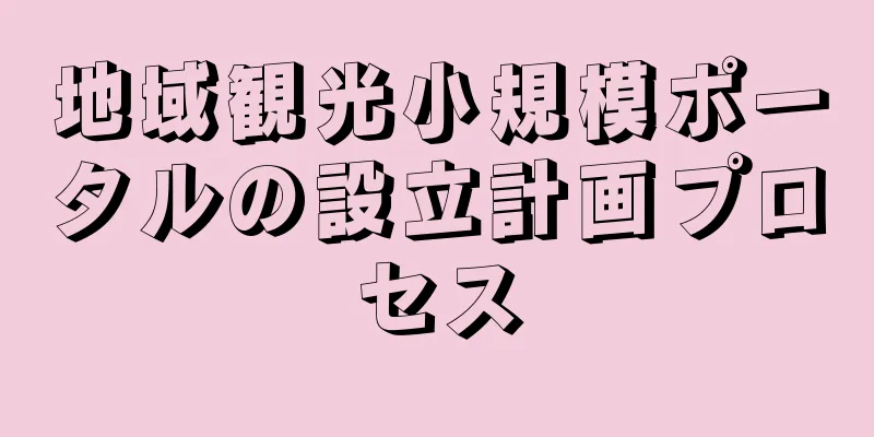 地域観光小規模ポータルの設立計画プロセス