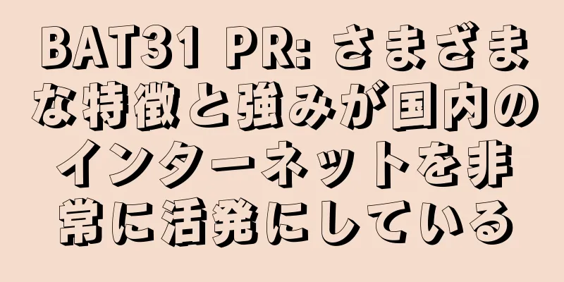 BAT31 PR: さまざまな特徴と強みが国内のインターネットを非常に活発にしている