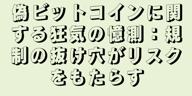 偽ビットコインに関する狂気の憶測：規制の抜け穴がリスクをもたらす