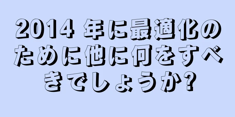 2014 年に最適化のために他に何をすべきでしょうか?