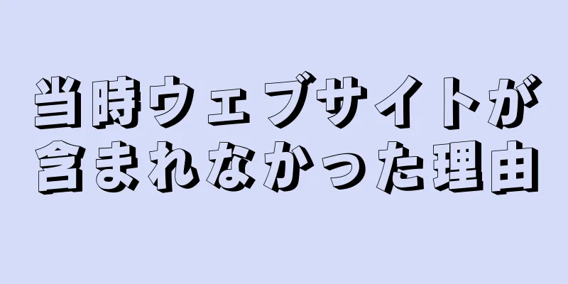 当時ウェブサイトが含まれなかった理由