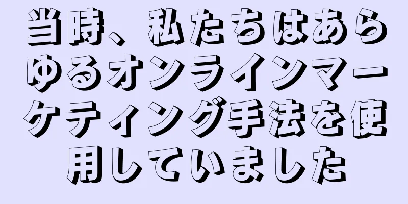 当時、私たちはあらゆるオンラインマーケティング手法を使用していました