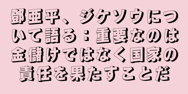 鄧亜平、ジケソウについて語る：重要なのは金儲けではなく国家の責任を果たすことだ