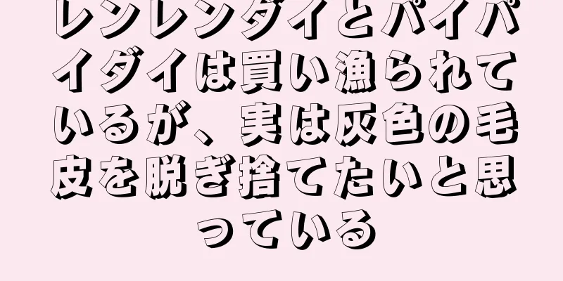レンレンダイとパイパイダイは買い漁られているが、実は灰色の毛皮を脱ぎ捨てたいと思っている