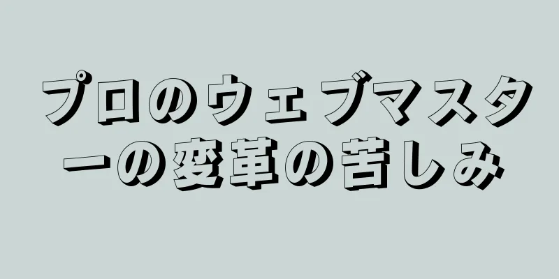 プロのウェブマスターの変革の苦しみ