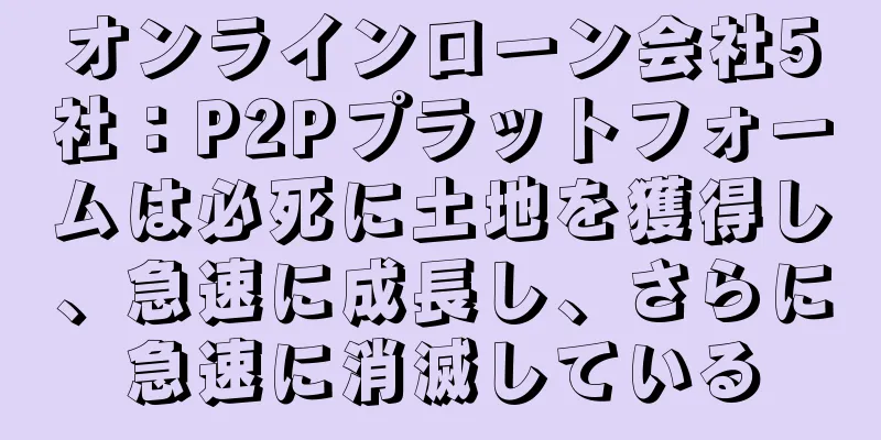 オンラインローン会社5社：P2Pプラットフォームは必死に土地を獲得し、急速に成長し、さらに急速に消滅している