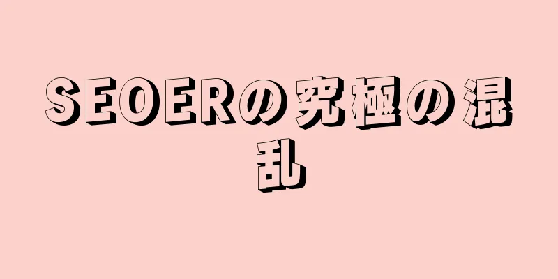 SEOERの究極の混乱