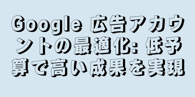 Google 広告アカウントの最適化: 低予算で高い成果を実現