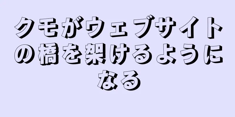 クモがウェブサイトの橋を架けるようになる