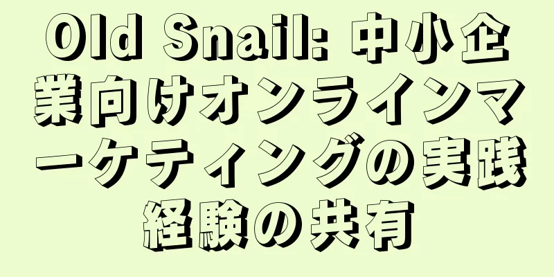 Old Snail: 中小企業向けオンラインマーケティングの実践経験の共有
