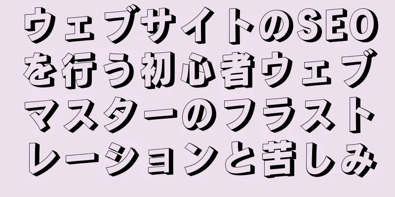 ウェブサイトのSEOを行う初心者ウェブマスターのフラストレーションと苦しみ