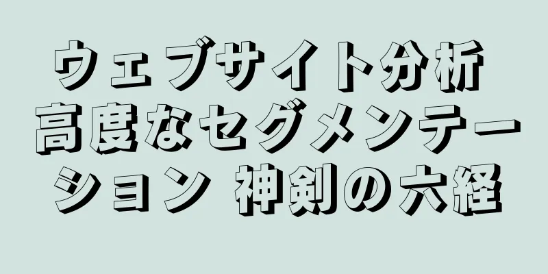 ウェブサイト分析 高度なセグメンテーション 神剣の六経