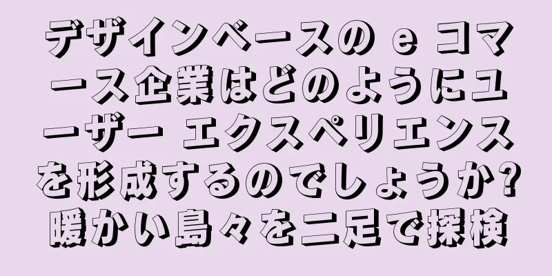 デザインベースの e コマース企業はどのようにユーザー エクスペリエンスを形成するのでしょうか?暖かい島々を二足で探検