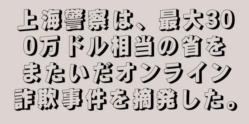 上海警察は、最大300万ドル相当の省をまたいだオンライン詐欺事件を摘発した。
