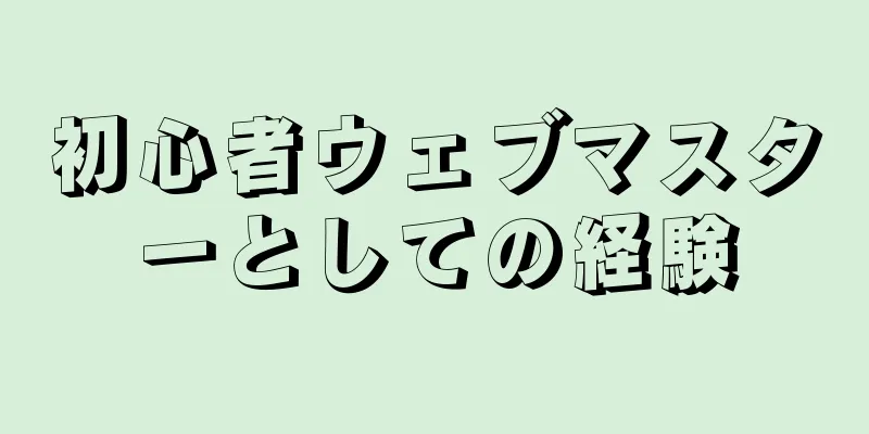 初心者ウェブマスターとしての経験