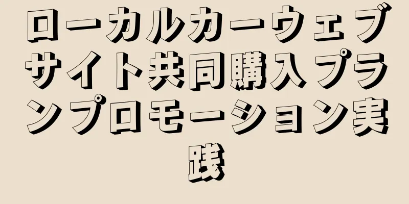 ローカルカーウェブサイト共同購入プランプロモーション実践