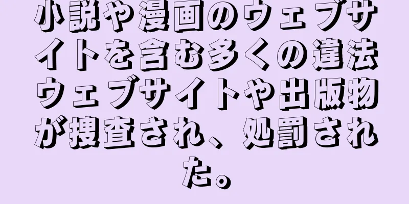 小説や漫画のウェブサイトを含む多くの違法ウェブサイトや出版物が捜査され、処罰された。