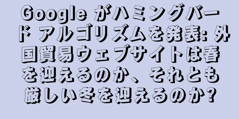 Google がハミングバード アルゴリズムを発表: 外国貿易ウェブサイトは春を迎えるのか、それとも厳しい冬を迎えるのか?