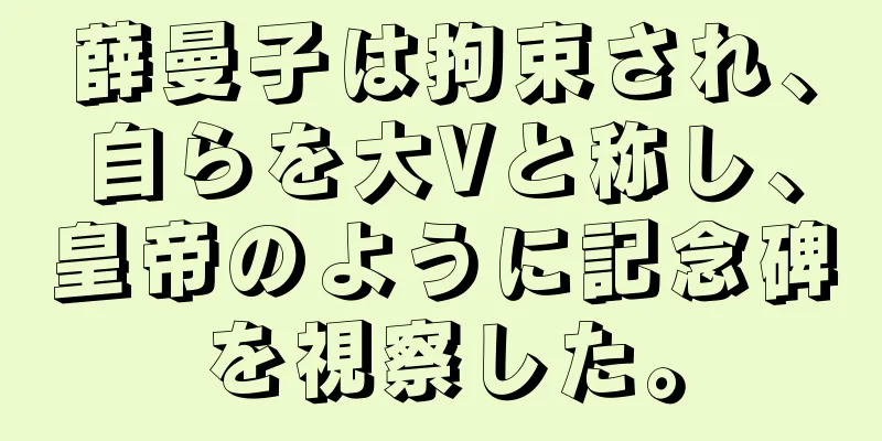薛曼子は拘束され、自らを大Vと称し、皇帝のように記念碑を視察した。