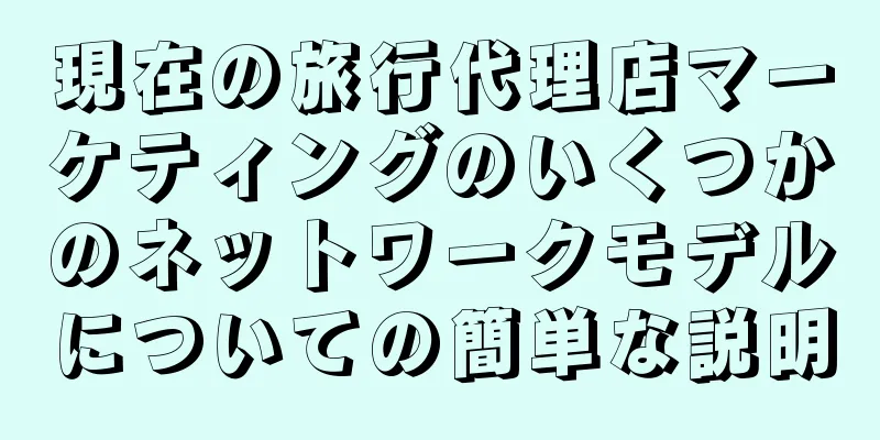 現在の旅行代理店マーケティングのいくつかのネットワークモデルについての簡単な説明
