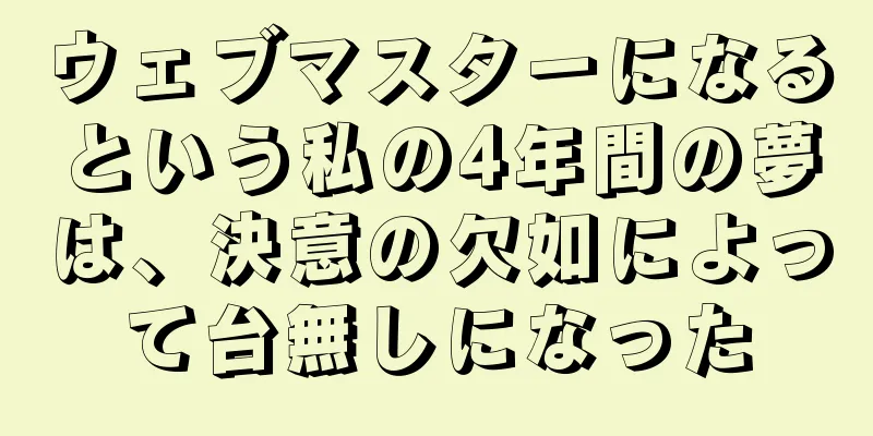 ウェブマスターになるという私の4年間の夢は、決意の欠如によって台無しになった