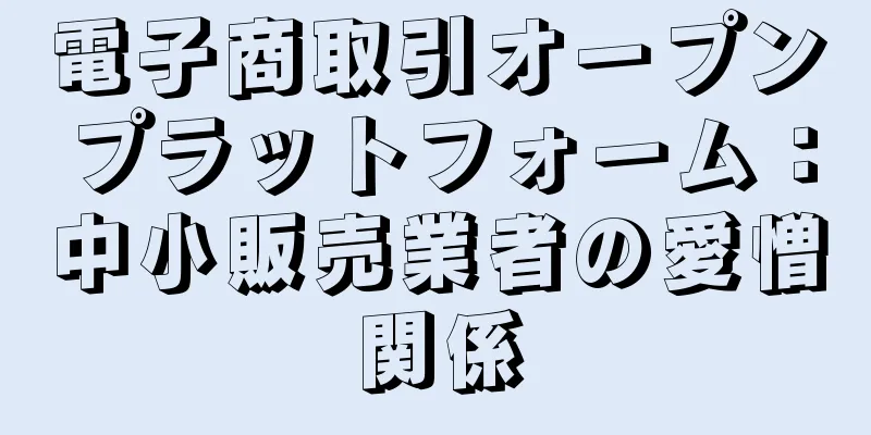 電子商取引オープンプラットフォーム：中小販売業者の愛憎関係