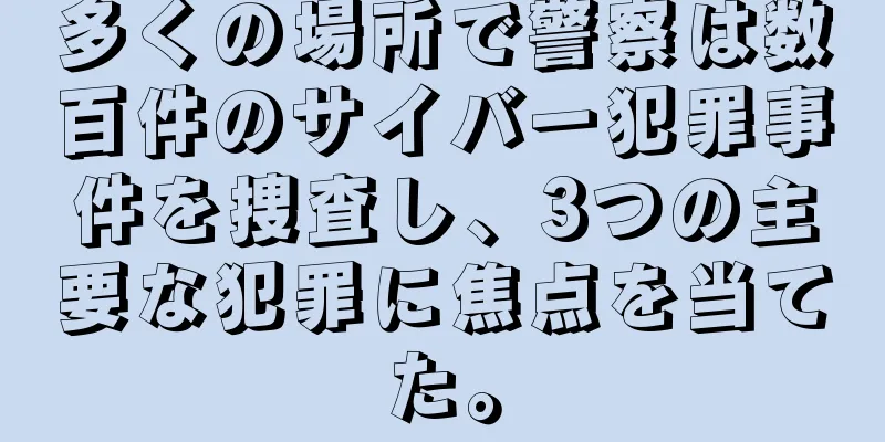 多くの場所で警察は数百件のサイバー犯罪事件を捜査し、3つの主要な犯罪に焦点を当てた。