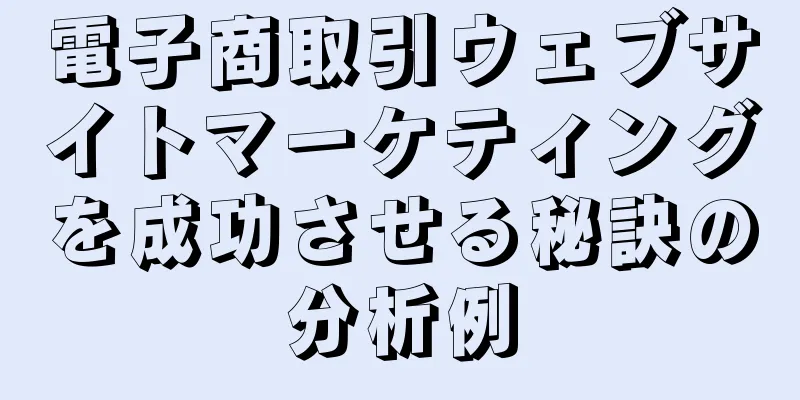 電子商取引ウェブサイトマーケティングを成功させる秘訣の分析例