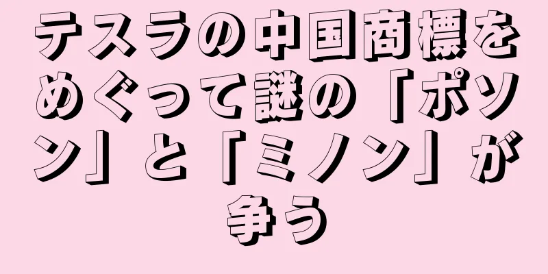 テスラの中国商標をめぐって謎の「ポソン」と「ミノン」が争う