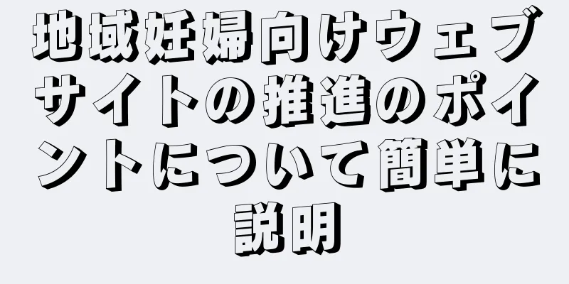 地域妊婦向けウェブサイトの推進のポイントについて簡単に説明