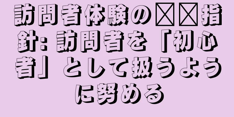訪問者体験の​​指針: 訪問者を「初心者」として扱うように努める