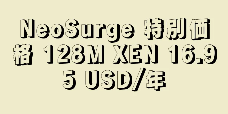 NeoSurge 特別価格 128M XEN 16.95 USD/年