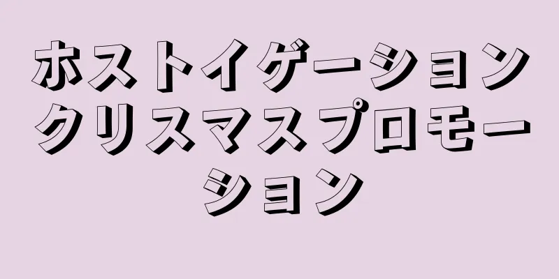 ホストイゲーションクリスマスプロモーション