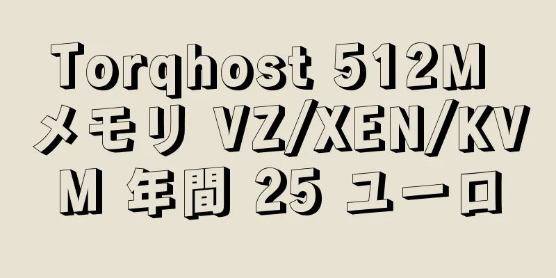 Torqhost 512M メモリ VZ/XEN/KVM 年間 25 ユーロ