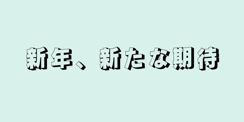 新年、新たな期待