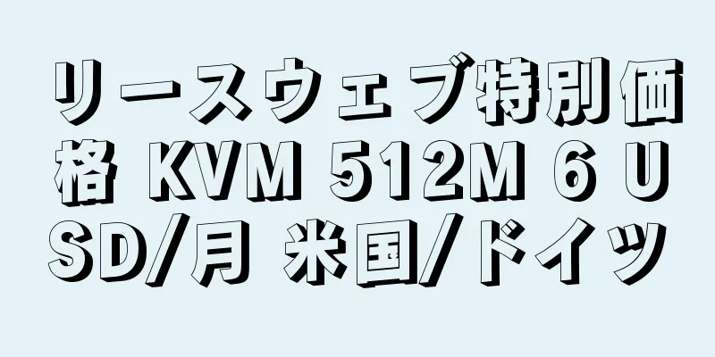 リースウェブ特別価格 KVM 512M 6 USD/月 米国/ドイツ