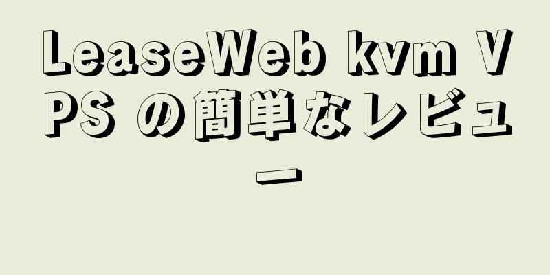 LeaseWeb kvm VPS の簡単なレビュー