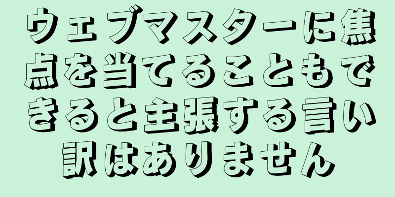 ウェブマスターに焦点を当てることもできると主張する言い訳はありません