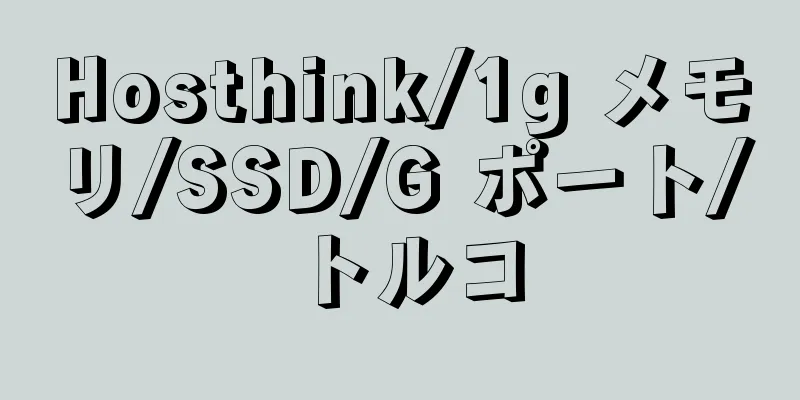 Hosthink/1g メモリ/SSD/G ポート/トルコ