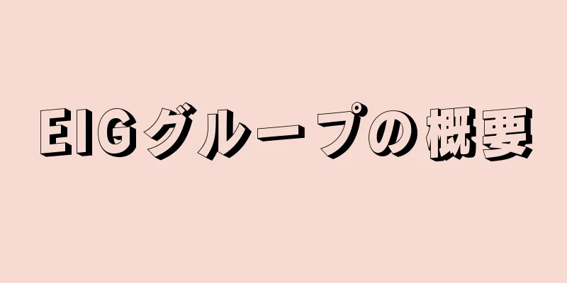 EIGグループの概要