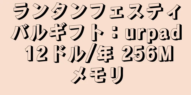 ランタンフェスティバルギフト：urpad 12ドル/年 256Mメモリ