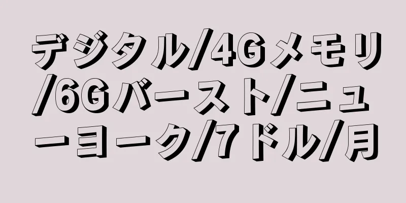 デジタル/4Gメモリ/6Gバースト/ニューヨーク/7ドル/月