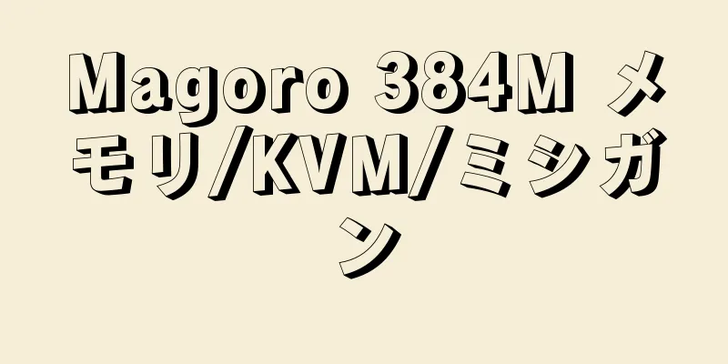 Magoro 384M メモリ/KVM/ミシガン