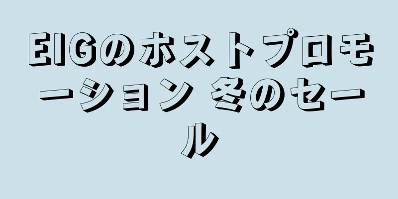 EIGのホストプロモーション 冬のセール