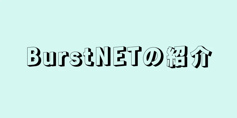 BurstNETの紹介