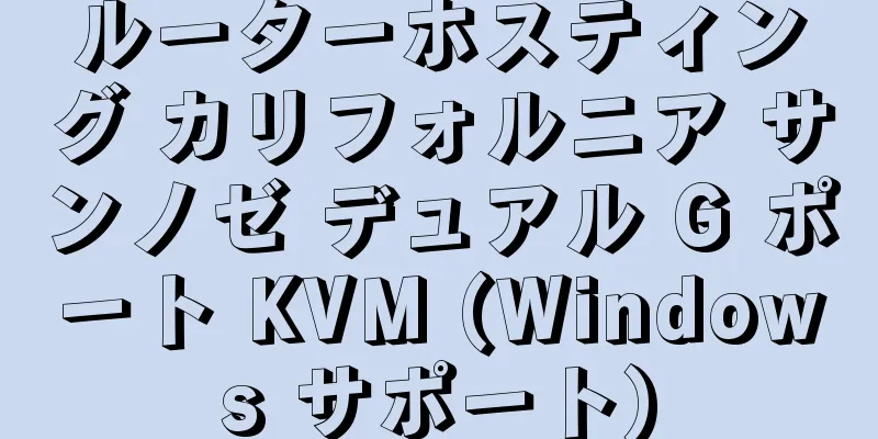 ルーターホスティング カリフォルニア サンノゼ デュアル G ポート KVM (Windows サポート)