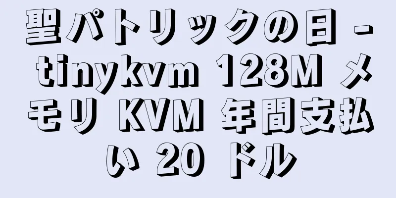 聖パトリックの日 - tinykvm 128M メモリ KVM 年間支払い 20 ドル